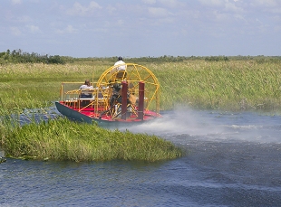 Everglades Tour