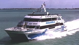 The Atlantic Cat